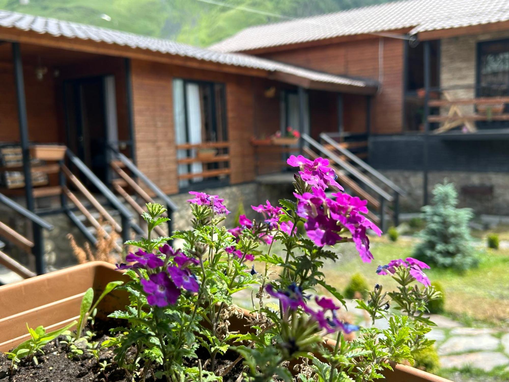 Panorama Cottages Kazbegi Exterior foto