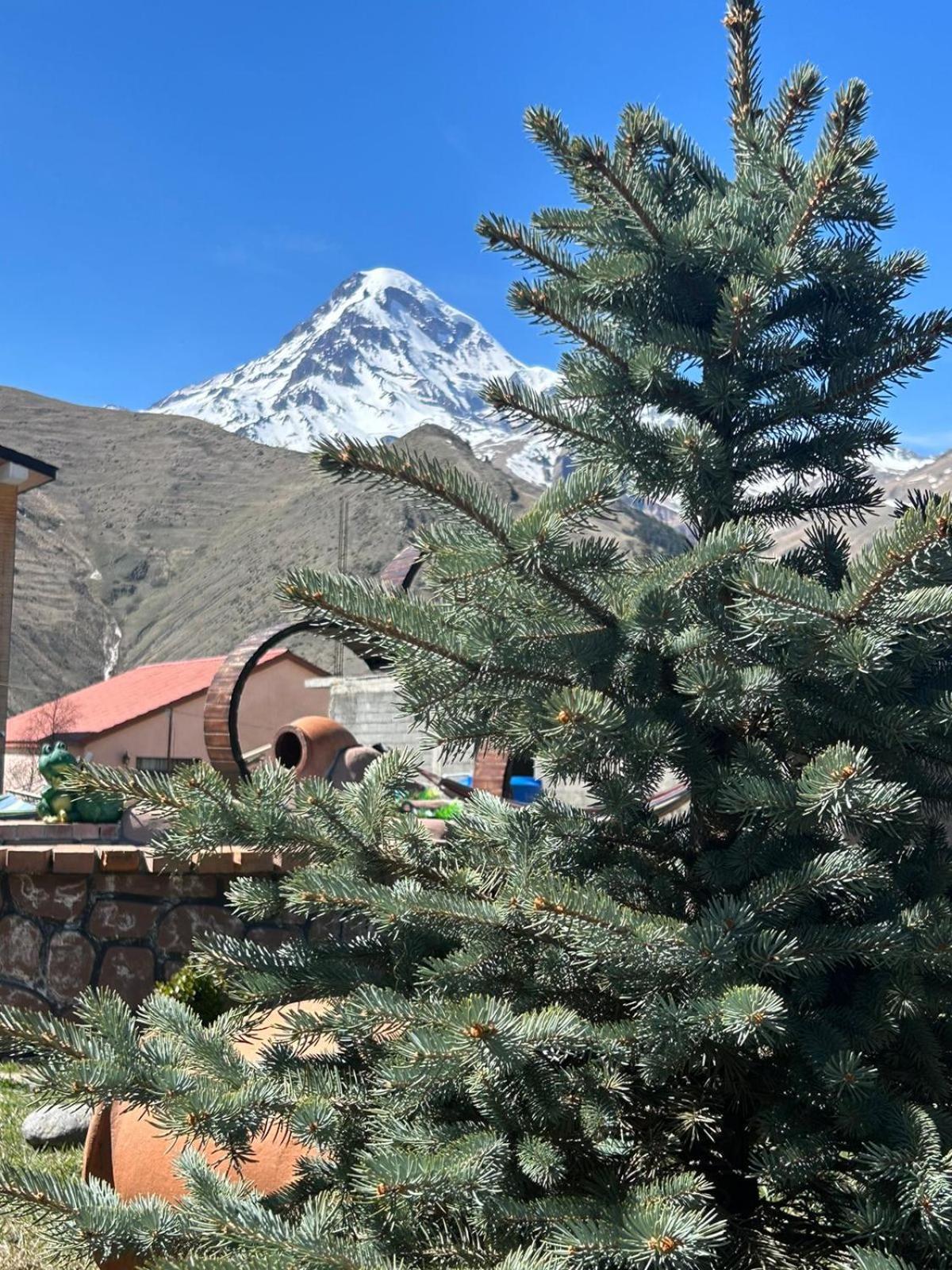 Panorama Cottages Kazbegi Exterior foto